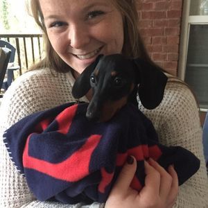 Meet your Posher, Sydney